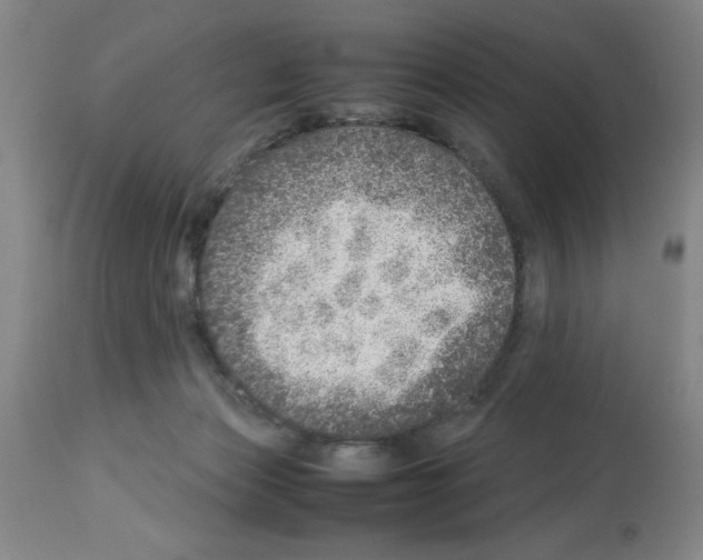 X0000112950173200910051227
