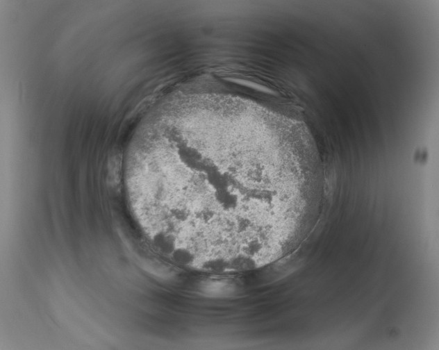 X0000112950175200910051227