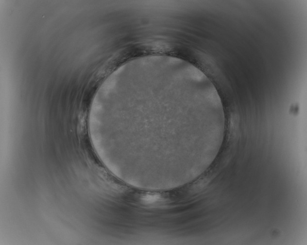 X0000112950177200910051227