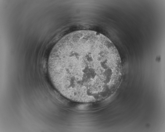 X0000112950178200910051227