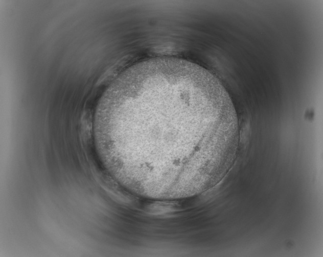 X0000112950179200910051227