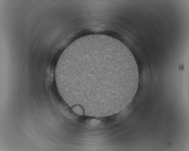 X0000112950180200910051227