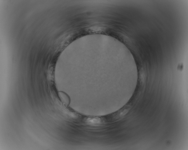 X0000112950181200910051227