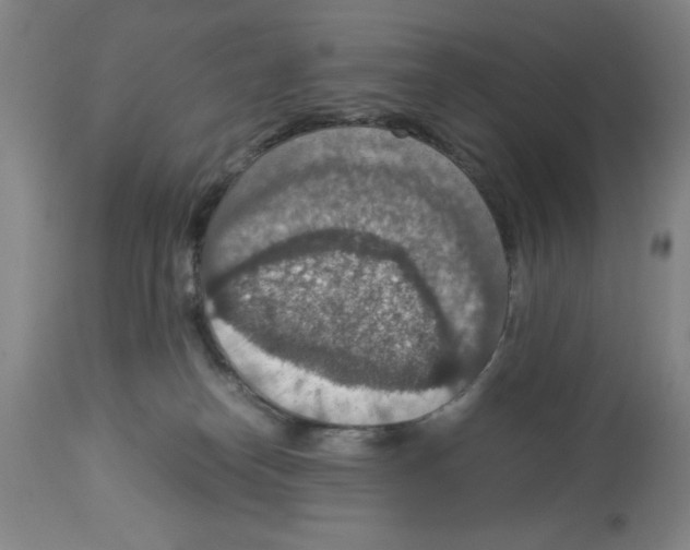 X0000112950182200910051227