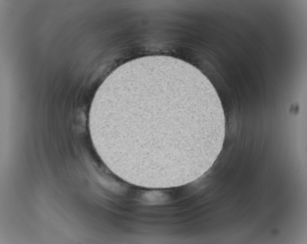 X0000112950183200910051227