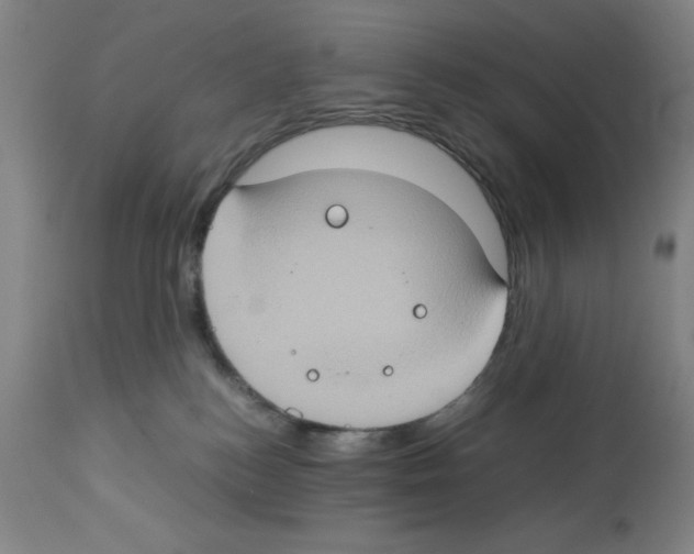 X0000112950184200910051227