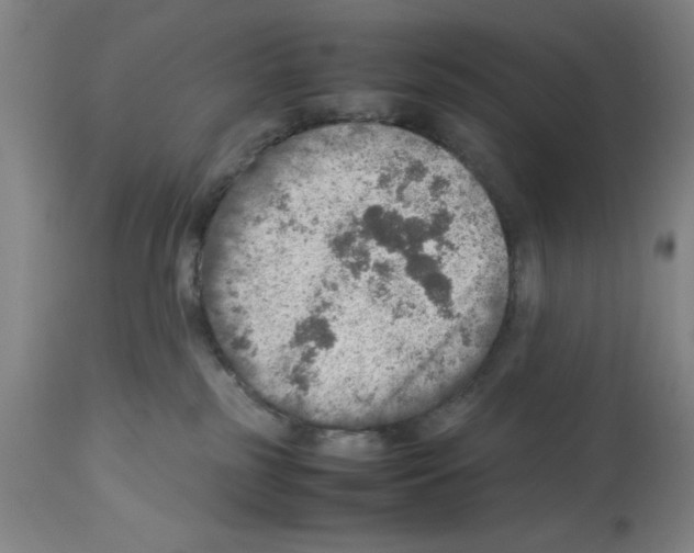 X0000112950185200910051227