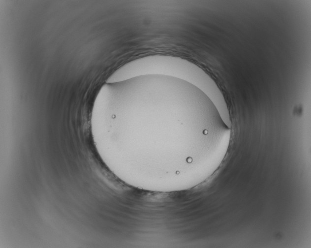 X0000112950186200910051227