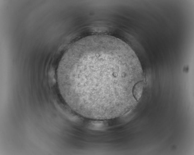 X0000112950187200910051227