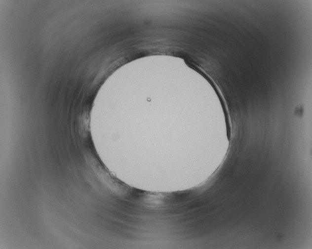 X0000112950190200910051227
