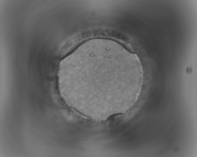 X0000112950192200910051227