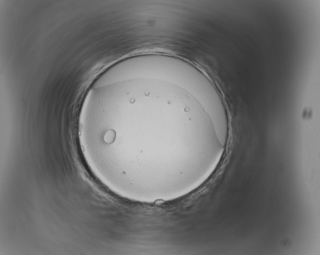 X0000112950193200910051227