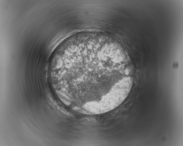 X0000112950194200910051227