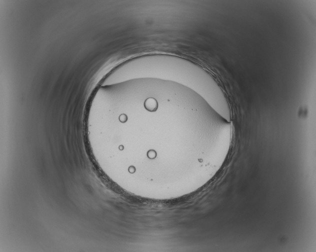 X0000112950195200910051227