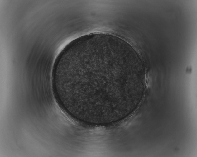 X0000112950196200910051227
