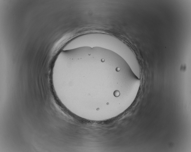 X0000112950197200910051227