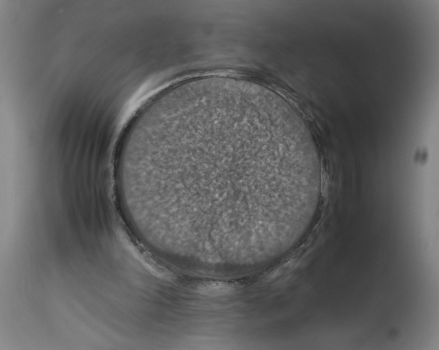 X0000112950198200910051226