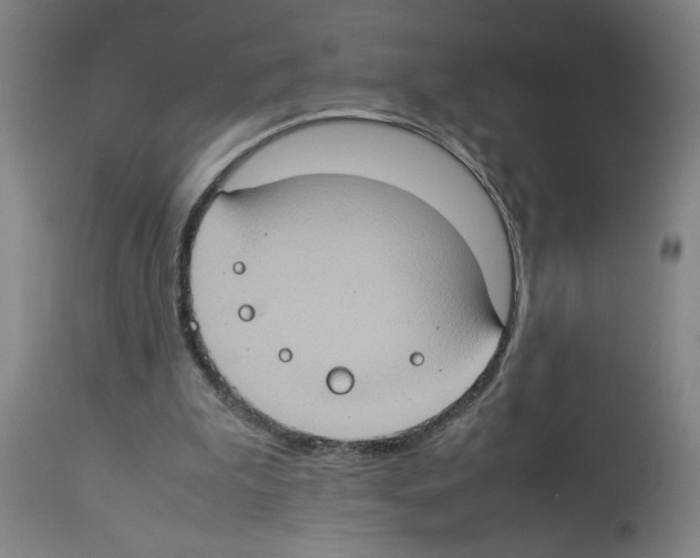 X0000112950199200910051226