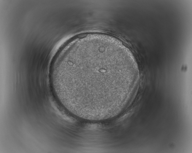 X0000112950200200910051226