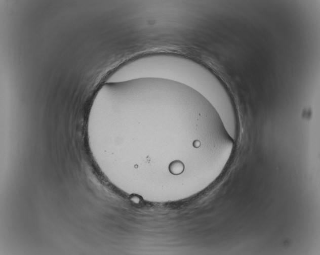 X0000112950201200910051226