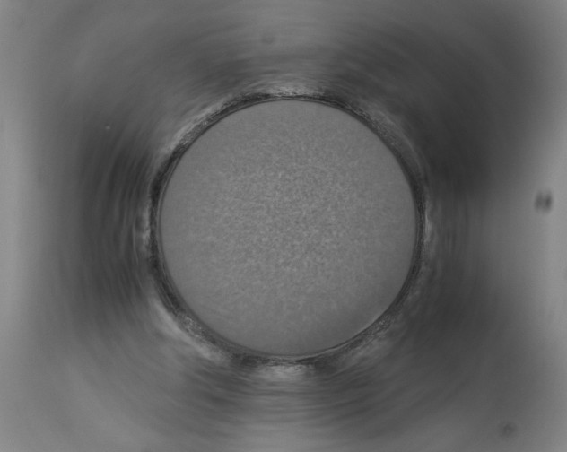 X0000112950202200910051226