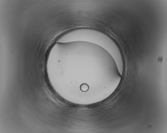 X0000112950203200910051226