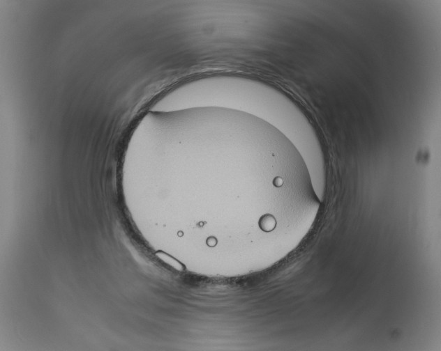 X0000112950205200910051226