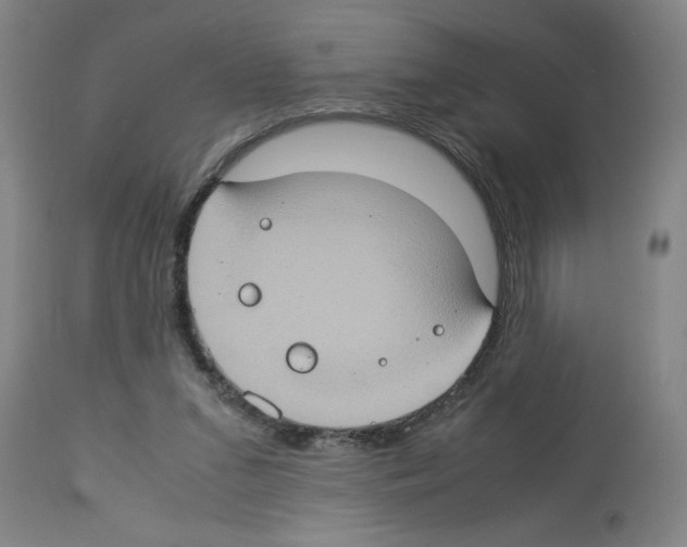 X0000112950207200910051226
