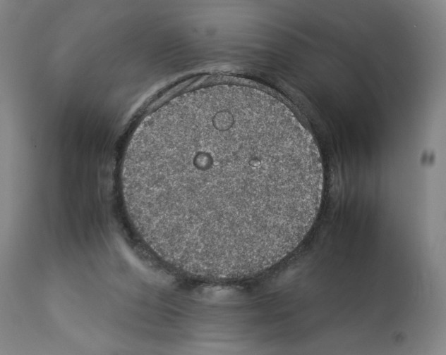 X0000112950208200910051226