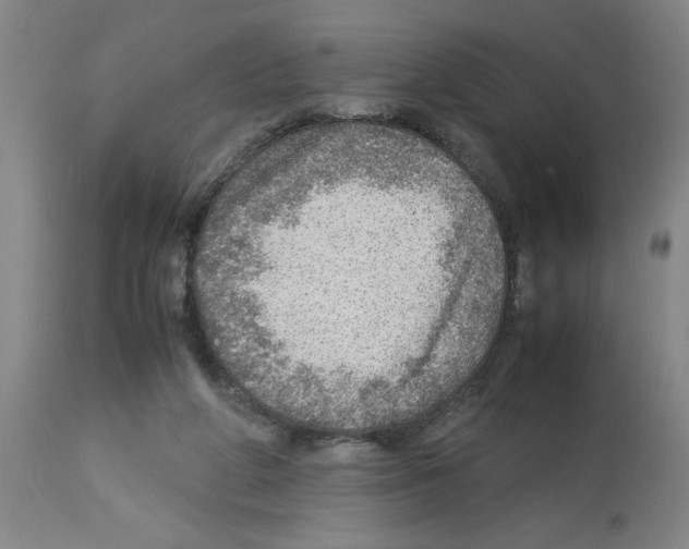 X0000112950210200910051226