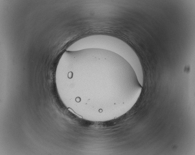 X0000112950211200910051226