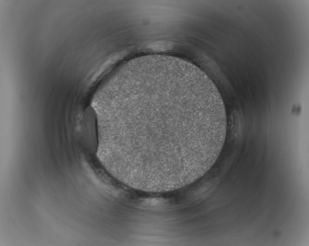 X0000112950212200910051226