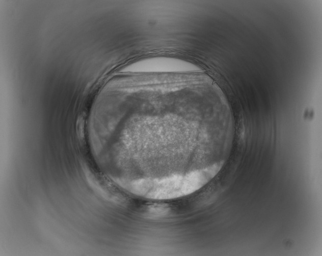 X0000112950214200910051226