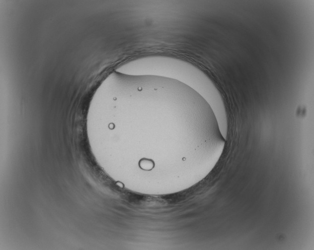 X0000112950215200910051226
