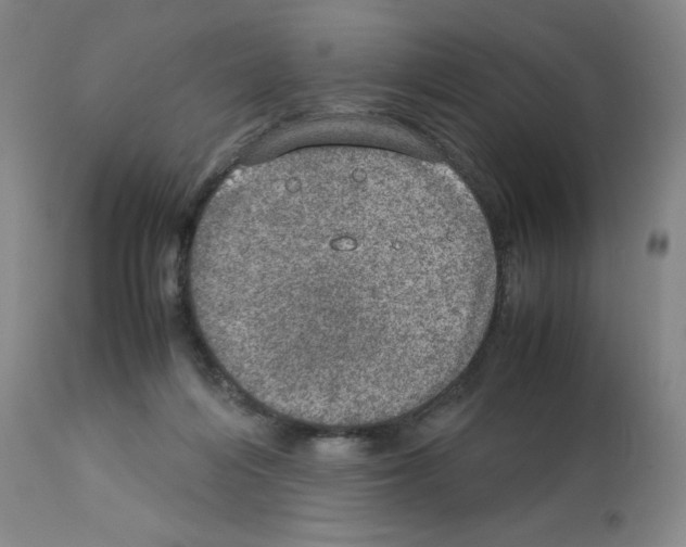 X0000112950216200910051226