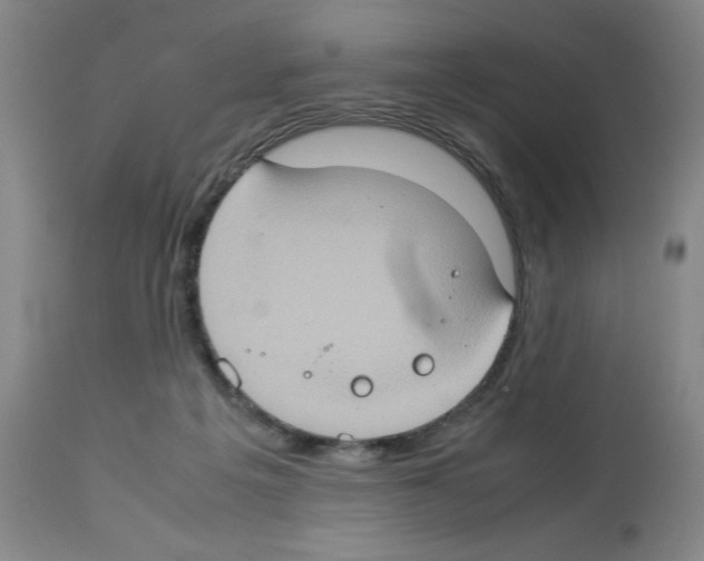 X0000112950217200910051226