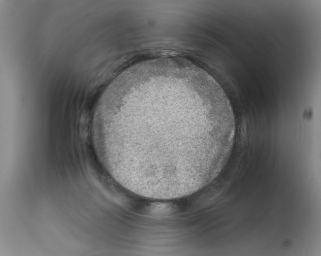 X0000112950218200910051226