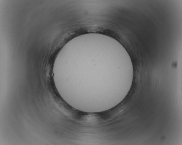 X0000112950219200910051226