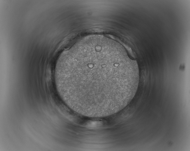 X0000112950220200910051226