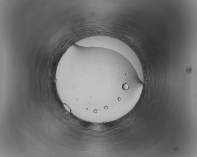 X0000112950221200910051226