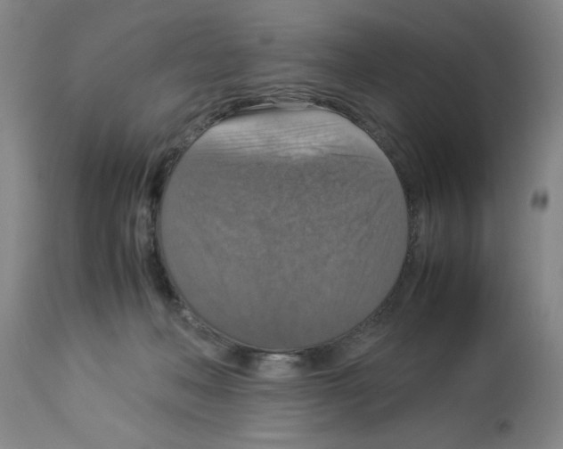 X0000112950222200910051226