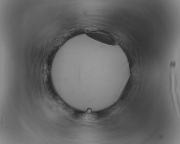 X0000112950223200910051226