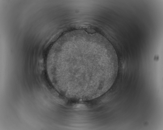 X0000112950224200910051226