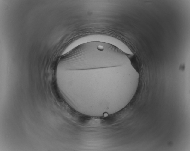 X0000112950227200910051226