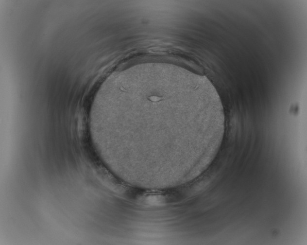 X0000112950228200910051226
