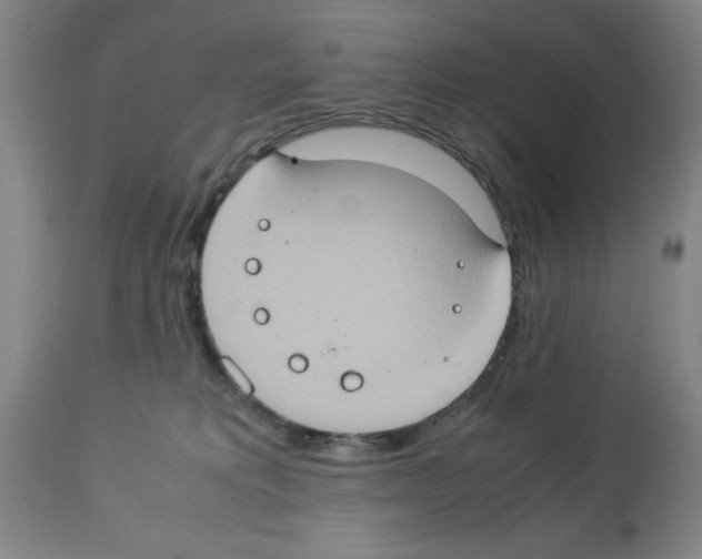 X0000112950229200910051226
