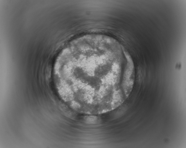X0000112950230200910051226