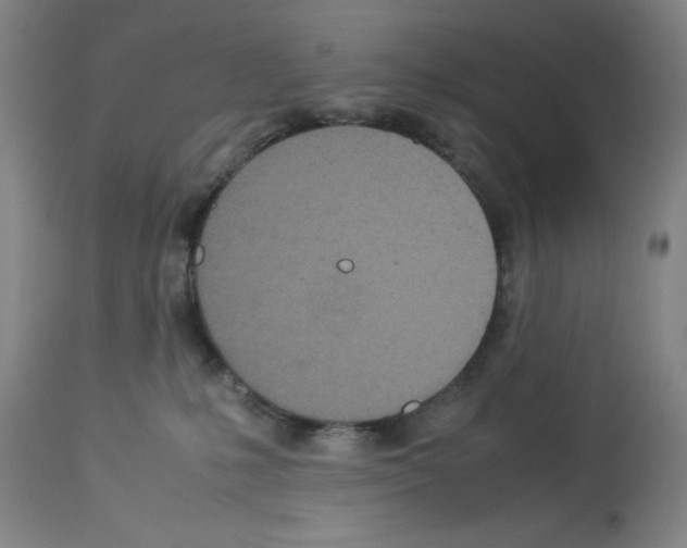 X0000112950231200910051226