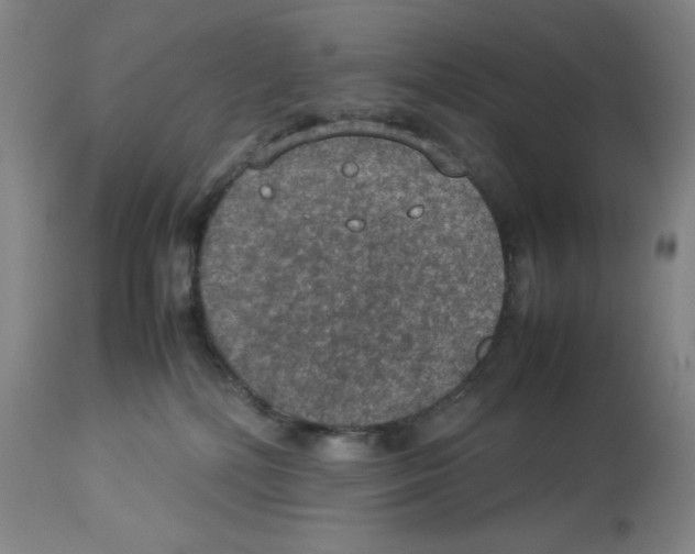 X0000112950232200910051226