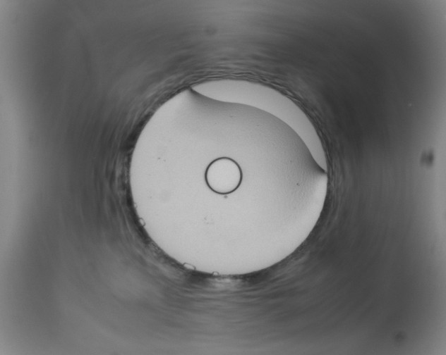 X0000112950233200910051226